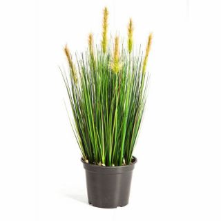 Rohrkolbengras-mit-grünen-Federn-60cm-Kunstpflanze-Haus-Pflanzen