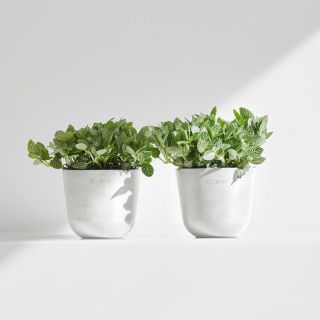 ecopots-oslo-pure-white-innen-aussen-rund-blumentopf-pflanze-verschiedene-größen