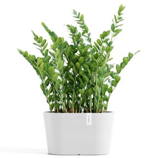Ecopots-Tokyo-ovaler-Blumentopf-klein-Pure-White-draußen-Pflanze-nachhaltig-zeitloser-Look