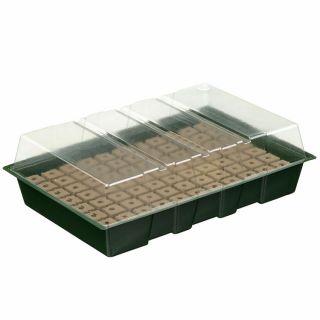 Mini-Anzuchtkasten-für-Hydrokultur-mit-Schaumeinlage-35-x-23-5-cm-Nature-Steckschaum