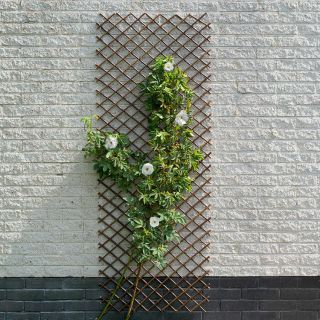 Weide-Rankhilfe-nature-Pflanzengitter-Garten-Balkon-Wand-Blumen